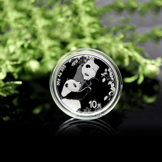 2023版熊猫普制30克银质纪念币 商品图1