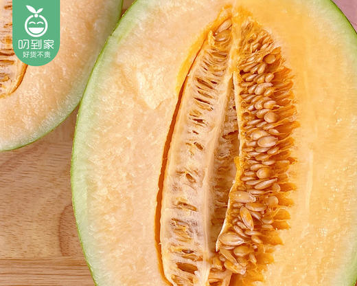 海南沙地蜜瓜（1.5kg±100g/颗） 商品图2
