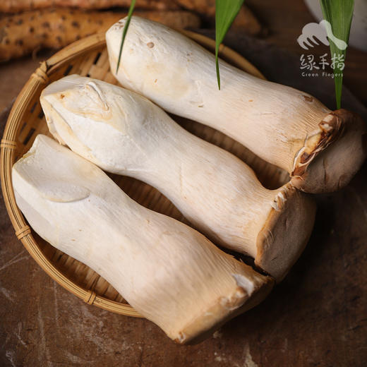 有机杏鲍菇 | 绿家自产* Ecological abalone mushroom | Self-production 商品图4