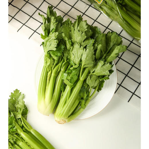 云南高原~水果芹菜，高原有机肥种植！
叶柄娇嫩壮硕、清香、无筋无丝、脆爽爆汁!
炒菜、生食、榨汁
植株高度只有25厘米左右，汁水丰盈，脆嫩多汁，清香爽口，风味十足！350克/袋，一组两袋 商品图1