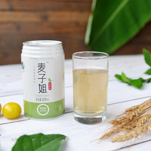 有机麦芽汁 一件12瓶（310ml/瓶） 商品图0