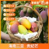 【新鲜上市 现摘现发】海南三亚树上熟贵妃芒 5斤礼盒装 ZB 商品缩略图4