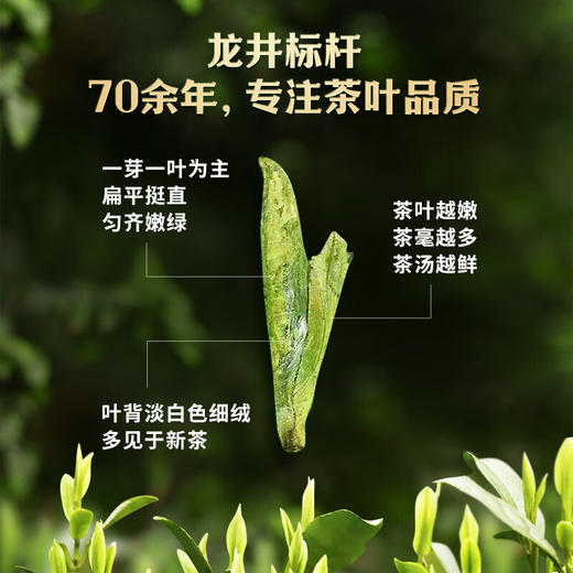 2024中茶纸包特级龙井茶200g绿茶中粮出品 商品图1