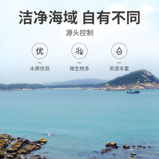 淡菜干250g/瓶装 商品图8