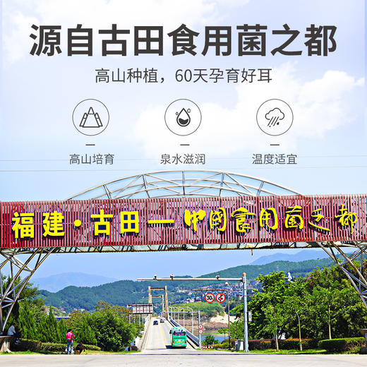 本草银耳80g/瓶装 商品图8