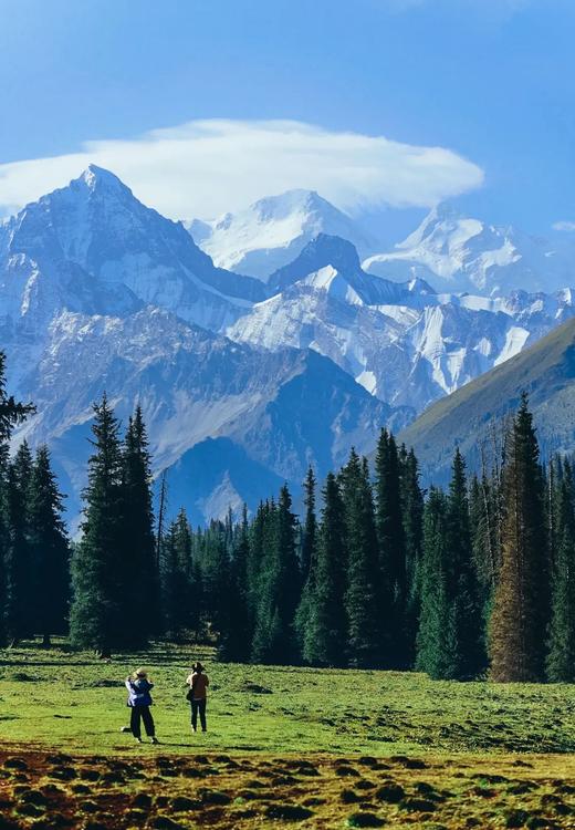 【新疆】开着房车游伊犁！多种地貌、超美公路旅行，解锁天山绝美秘境！5岁起报，亲子同行！ 商品图2