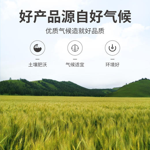 方家铺子 大麦茶230g/瓶装 商品图9