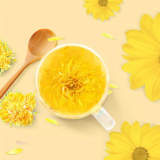 金丝皇菊（菊花） 商品图2