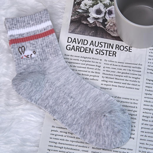 大童/女袜半打袜2024春夏中筒网面精梳棉袜[2413107] 商品图0