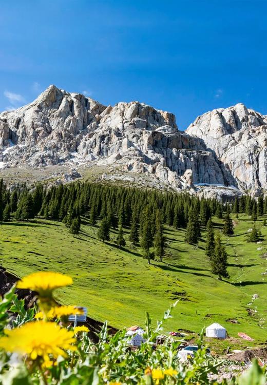 【新疆】开着房车游伊犁！多种地貌、超美公路旅行，解锁天山绝美秘境！5岁起报，亲子同行！ 商品图4