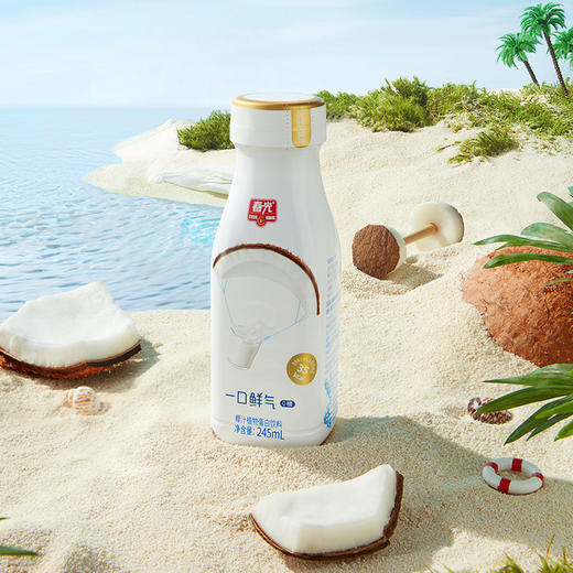 一口鲜气椰汁245ml*12+鲜气椰汁100ml*8 年货饮料聚餐囤货 商品图1