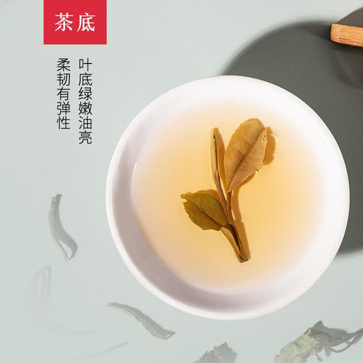 中茶蝴蝶5101福鼎白茶老树白茶白牡丹茶散茶100g（新老包装随机） 商品图4