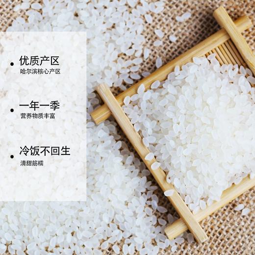 东北珍珠米新米优质入口回甘软糯鲜甜 商品图2