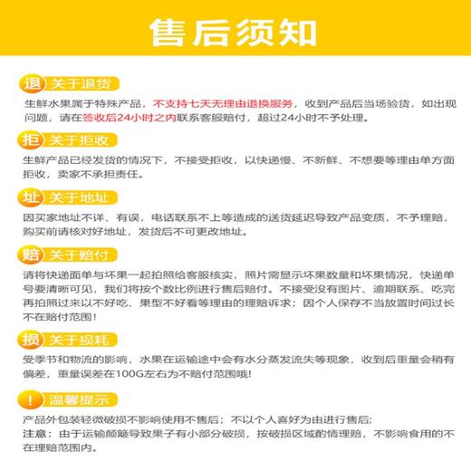 【新鲜上市 现摘现发】海南三亚树上熟贵妃芒 5斤礼盒装 ZB 商品图5