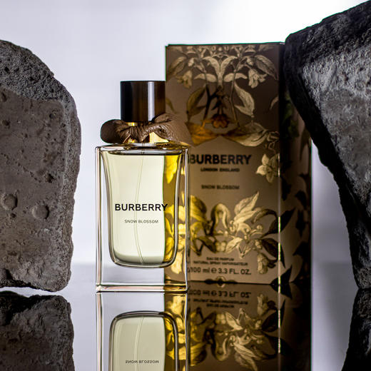 巴宝莉 植境花语高定系列-凛冬之花 Burberry Snow Blossom 分装 商品图5