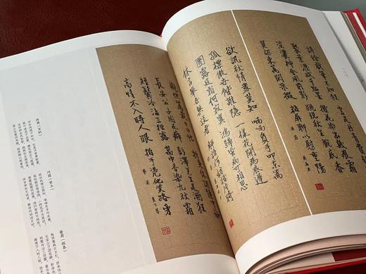 《戴敦邦手录红楼梦诗词集》，戴敦邦 录/绘，张志萍 注，16开，精装，208页，全彩精印。上海人民出版社2020年1月一版一印。定价289，售价89元。 商品图7