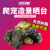 命脉乌龟晒背台爬台大号水龟缸DIY造景浮岛爬坡躲避洞穴晒龟台 商品缩略图0