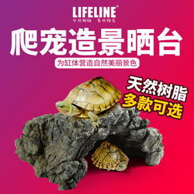 命脉乌龟晒背台爬台大号水龟缸DIY造景浮岛爬坡躲避洞穴晒龟台