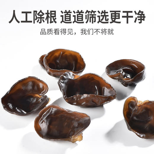 耳片黑木耳180g/瓶装 商品图5