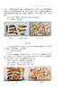 中药性状鉴定技术 傅红 窦国义主编 全国中医药行业高等职业教育十四五创新教材 供中药学等专业用 中国中医药出版社9787513286466 商品缩略图3