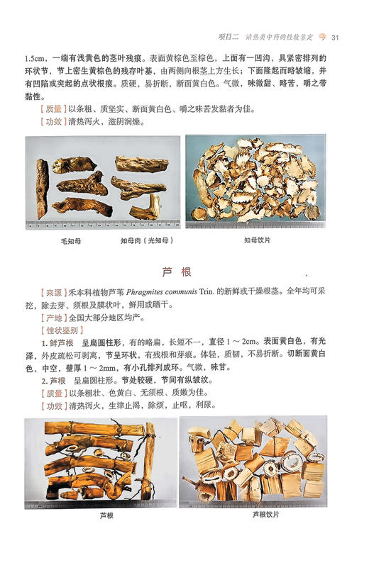 中药性状鉴定技术 傅红 窦国义主编 全国中医药行业高等职业教育十四五创新教材 供中药学等专业用 中国中医药出版社9787513286466 商品图3