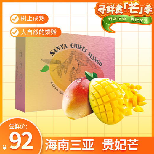 【新鲜上市 现摘现发】海南三亚树上熟贵妃芒 5斤礼盒装 ZB 商品图0