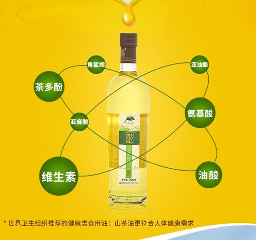 压榨山茶油玻璃瓶装 商品图2
