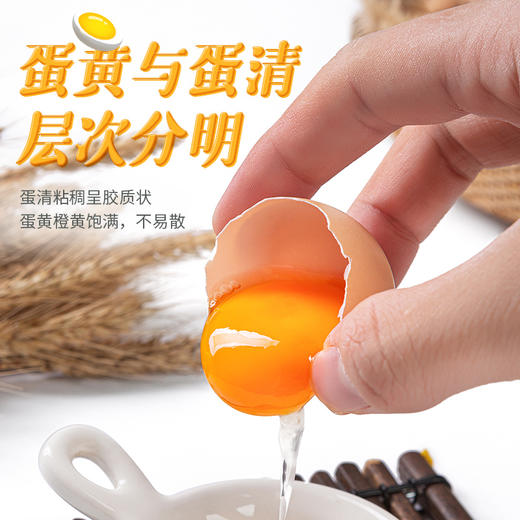 【全国包邮】郧阳鲍峡土鸡蛋50枚 商品图3