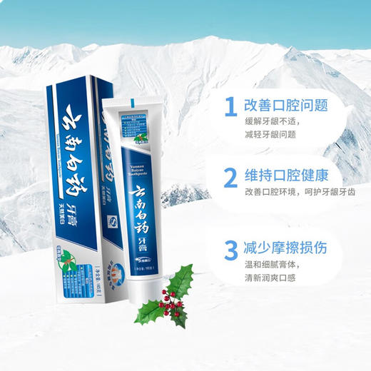 云南白药牙膏冬青香型165g 商品图1