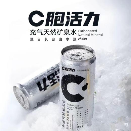 C胞活力充气天然矿泉水330ml/瓶 24瓶/箱（4x6瓶/箱） 商品图0