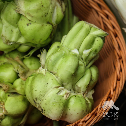 生态榨菜头/青菜头 | 绿家自产*Eco-crassicaulis mustard | Self-production 商品图5