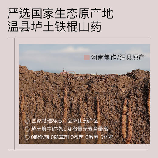 羽心堂 铁棍山药粉 15g*10袋/盒 2盒/3盒/5盒/10盒 商品图2