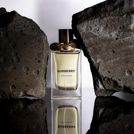 巴宝莉 植境花语高定系列-凛冬之花 Burberry Snow Blossom 分装 商品图0