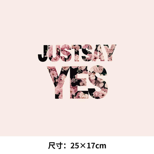 潮流服装贴服饰辅料烫画贴布贴pet白墨英文字母花朵热转印图 商品图1