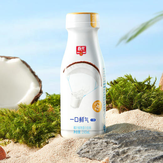 245ml*8一口鲜气椰汁【新年礼包装】 商品图0