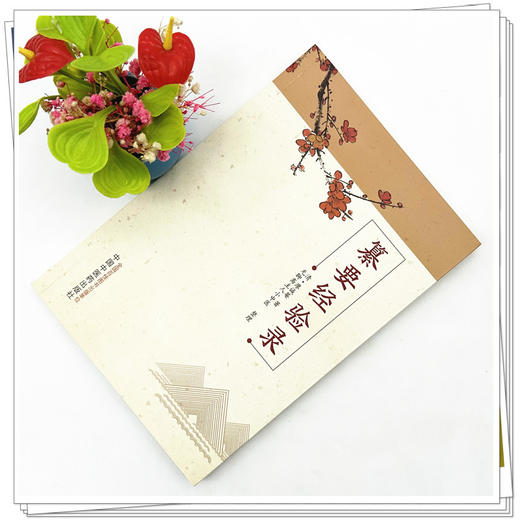 纂要经验录 (清) 廖诚菴 著 无聊斋主人小中医整理 中国中医药出版社 商品图1