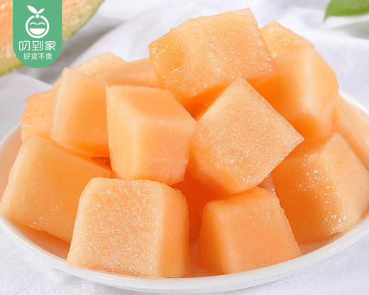 海南沙地蜜瓜（1.5kg±100g/颗） 商品图3