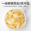 本草银耳80g/瓶装 商品缩略图3