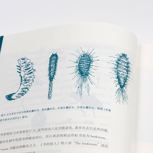 寻蟫记 / 寻芸记  陈涌海 著 商品图4