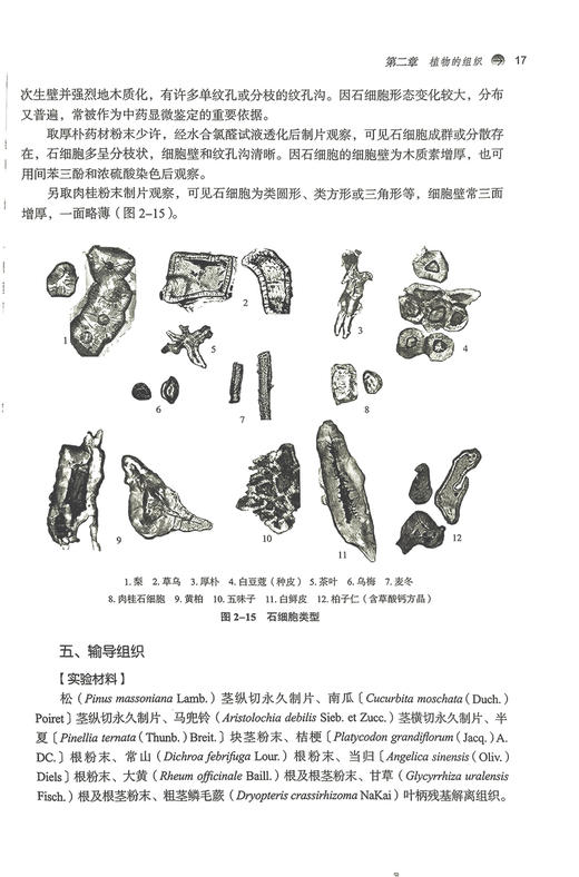 药用植物学实验指导 刘春生 谷巍 全国中医药行业高等教育十四五规划教材配套用书 供药学等专业用 中国中医药出版社9787513286473 商品图4