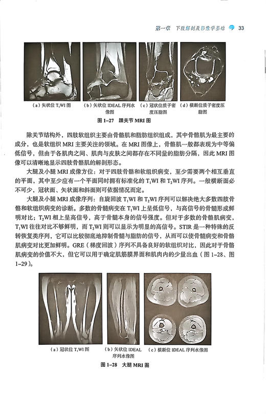 下肢骨伤疾病诊疗学 杨凤云 王力 全国中医药行业高等教育十四五创新教材 供中医骨伤科学等专业用 中国中医药出版社9787513286312 商品图4