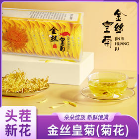 金丝皇菊（菊花）