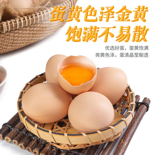 【全国包邮】郧阳鲍峡土鸡蛋50枚 商品图2