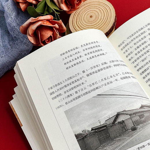 森春涛的香奁诗受容与汉诗创作 明治文坛的汉诗巨森春涛 陈文佳著 商品图10