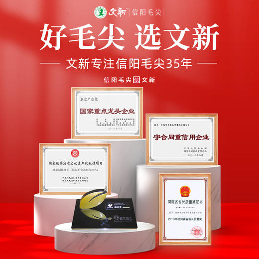 春茶上市2024新茶文新信阳毛尖茶200g（600） 商品图2