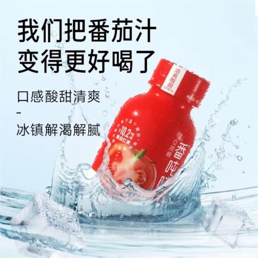 番念番吨吨新疆番茄汁220ml/瓶 商品图2