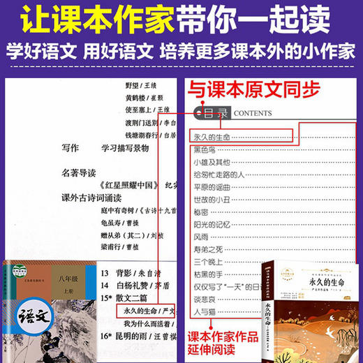 语文课本作家作品系列 《永久的生命》 非塑封 商品图2