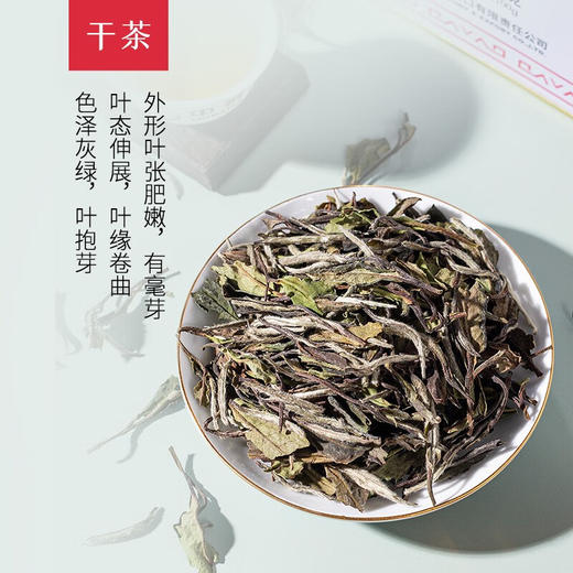 中茶蝴蝶5101福鼎白茶老树白茶白牡丹茶散茶100g（新老包装随机） 商品图2