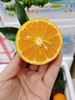 利氏明日见沃柑一箱 商品缩略图2