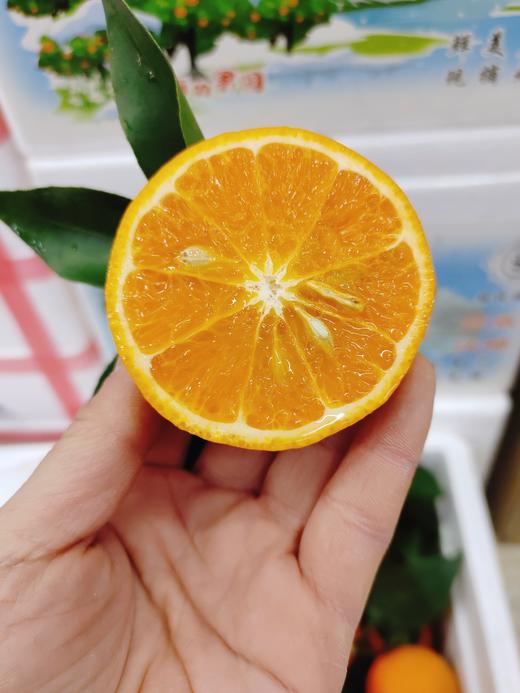 利氏明日见沃柑一箱 商品图2
